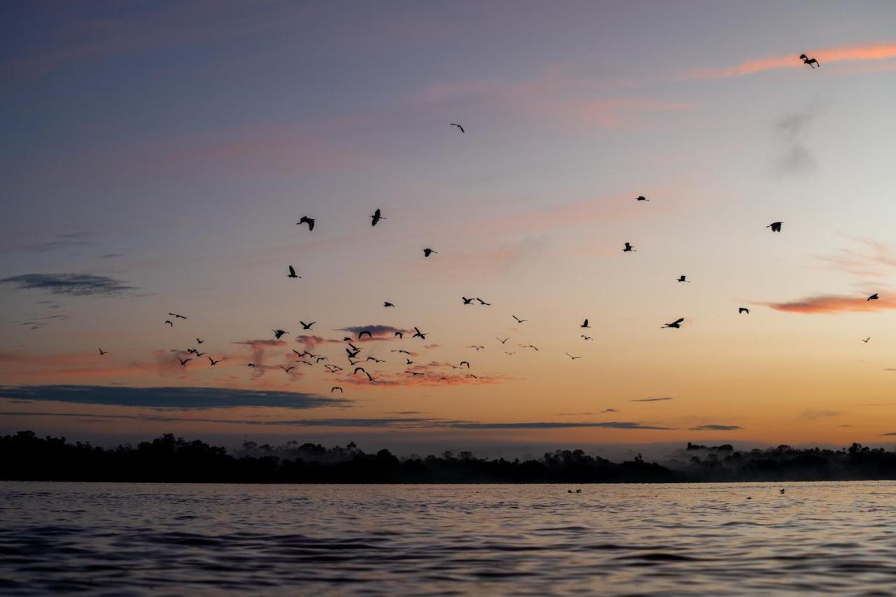 Amak Iquitos Ecolodge Санта-Клара Экстерьер фото